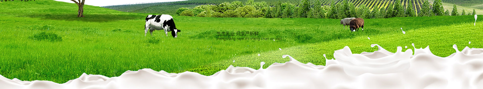 洛陽訂奶_酸奶代理_酸奶招商_牛奶品牌-生生乳業(yè)