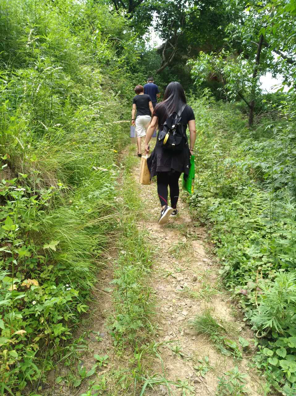 1498880059820202.jpg QQ圖片20170701113006.jpg